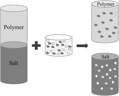 Laccases in Food Industry: Bioprocessing, Potential Industrial and Biotechnological Applications